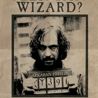 Harry Potter (Wanted Sirius Black)