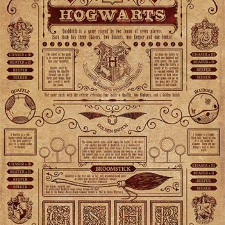 Harry Potter (Quidditch At Hogwarts)