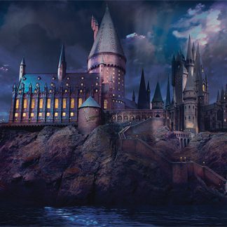 Harry Potter: Hogwarts 