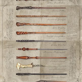 Harry Potter: The Wand Chooses The Wizard