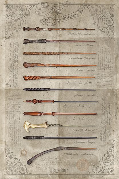 Harry Potter: The Wand Chooses The Wizard