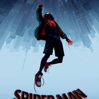 Spider-Man Into The Spider-Verse - Fall