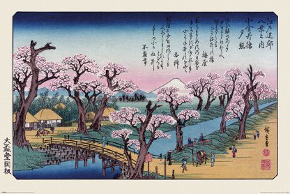 Hiroshige - Mount F