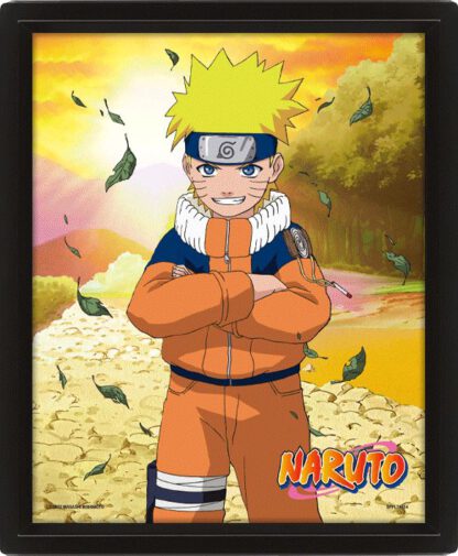 3D: Naruto - Hidden Leaf Rivals